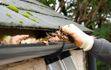 gutter cleaning North Bowood, Dorset